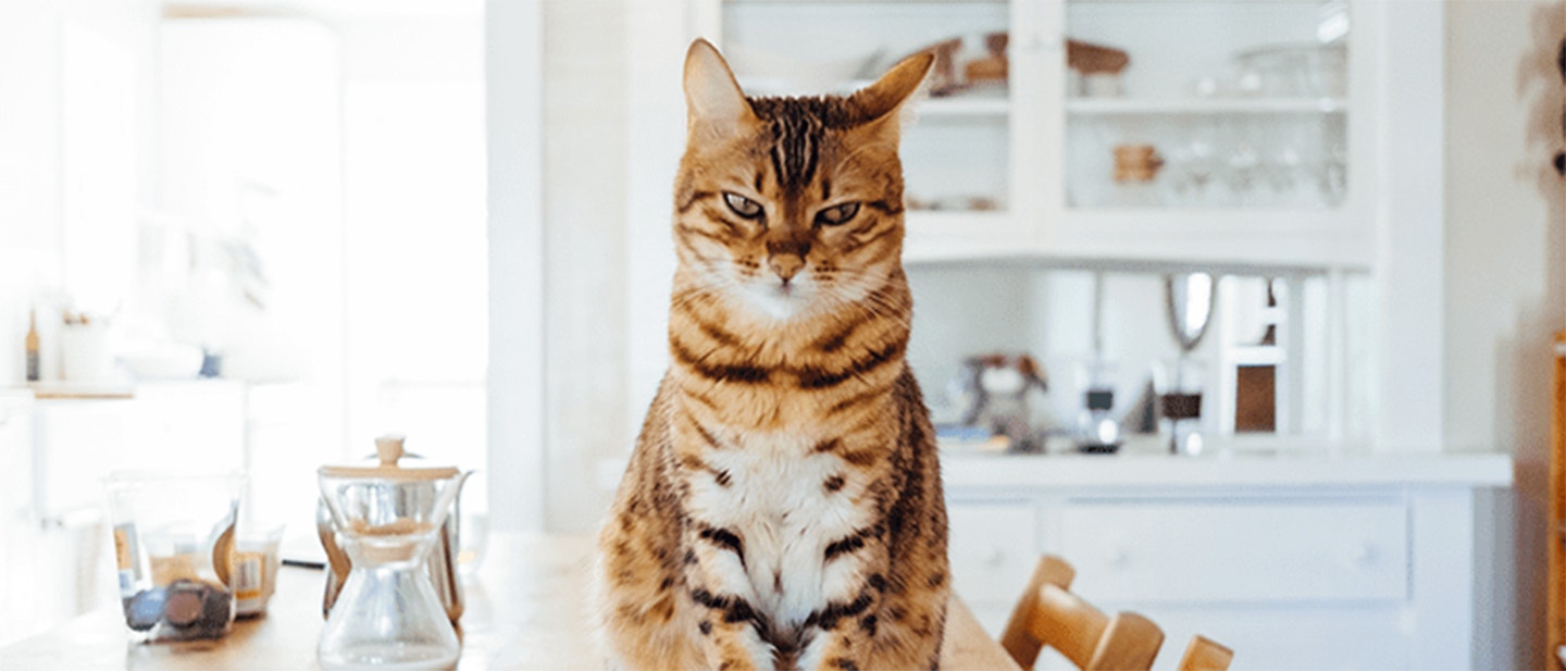 paul-hanaoka-w2dss-zap4u-unsplash_1684228931462.png