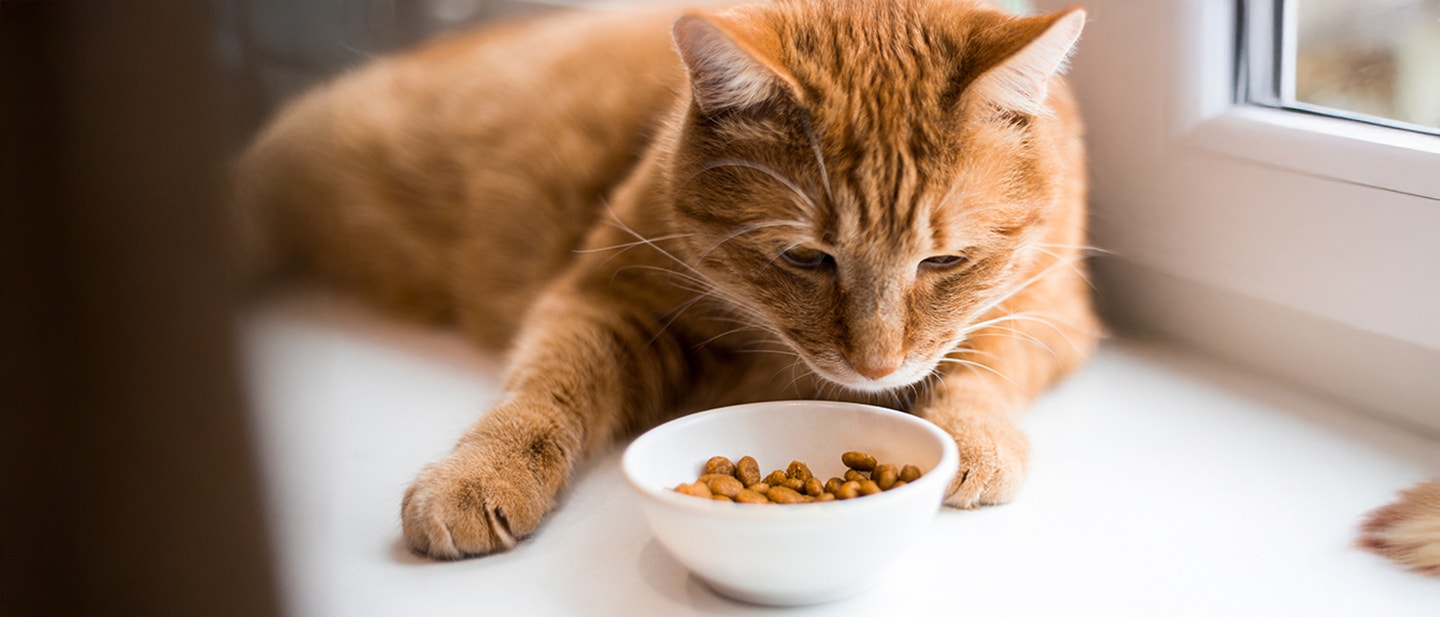 Policosanol (Triacontanol) manufacturer Policosanol (Triacontanol) manufacturer