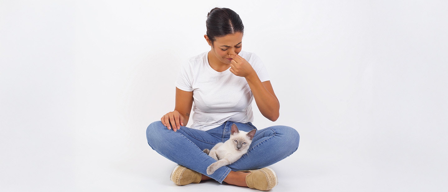 Causes of bad odour in cats