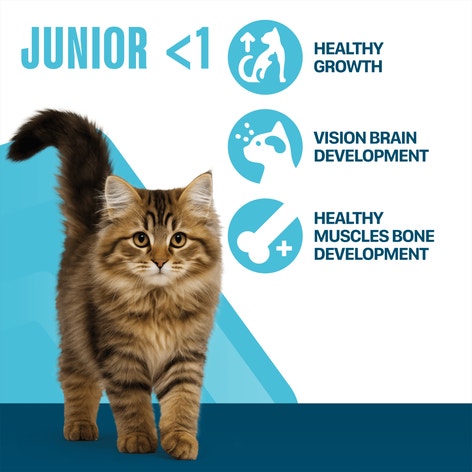 PERFECT FIT Junior/Kitten <1 Dry Cat Food Chicken 7kg, 750g image 1