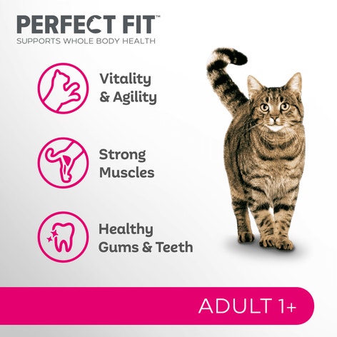PERFECT FIT™ Adult Dry Cat Food Chicken 7kg,2.8kg, 750g image 1