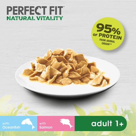 PERFECT FIT™ Natural Vitality Cat Food Pouch Fish Selection in Gravy 6x50g image 1