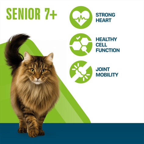PERFECT FIT Senior 7+ Dry Cat Food Chicken 7kg, 2.8kg, 750g image 1