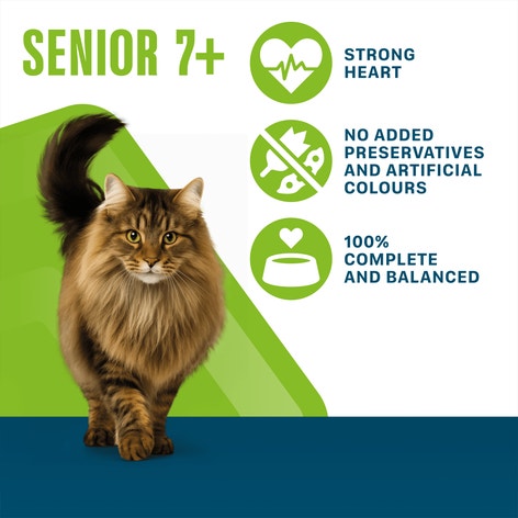 PERFECT FIT Senior 7+ Wet Cat Food Pouch Turkey & Fish in Gravy 12 x 85g image 1