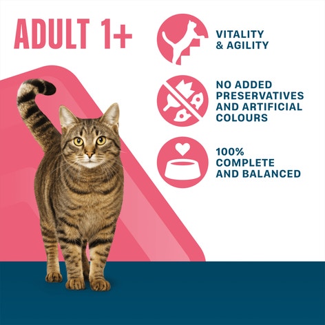 PERFECT FIT Adult 1+ Wet Cat Food Pouch Beef,Chicken & Fish in Gravy 12 x 85g image 1