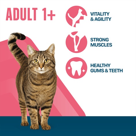 PERFECT FIT Adult Dry Cat Food Chicken 7kg,2.8kg, 750g image 1