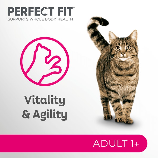 PERFECT FIT™ Cat Food Pouches Mixed 12 x 85g image 3