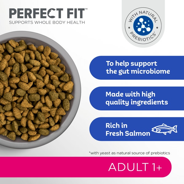 PERFECT FIT™ Adult Dry Cat Food Salmon 7kg, 2.8kg, 750g image 2