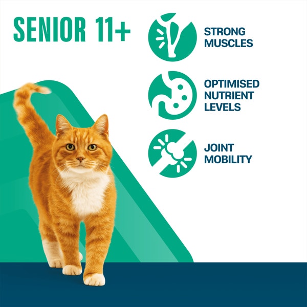 PERFECT FIT Senior 11+ Dry Cat Food Chicken 750g image 3