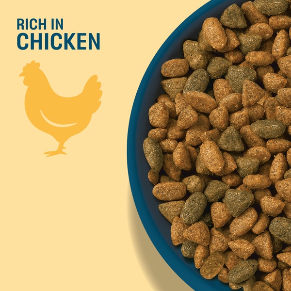 PERFECT FIT Senior 11+ Dry Cat Food Chicken 750g image 2