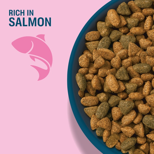 PERFECT FIT Adult Dry Cat Food Salmon 7kg, 2.8kg, 750g image 2