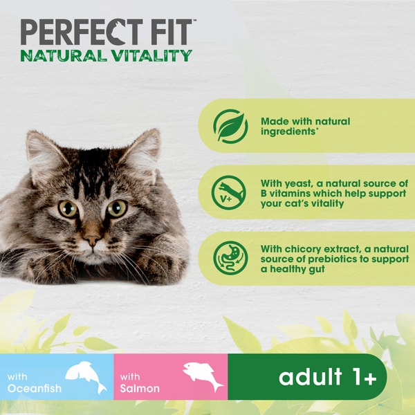 PERFECT FIT™ Natural Vitality Cat Food Pouch Fish Selection in Gravy 6x50g image 5