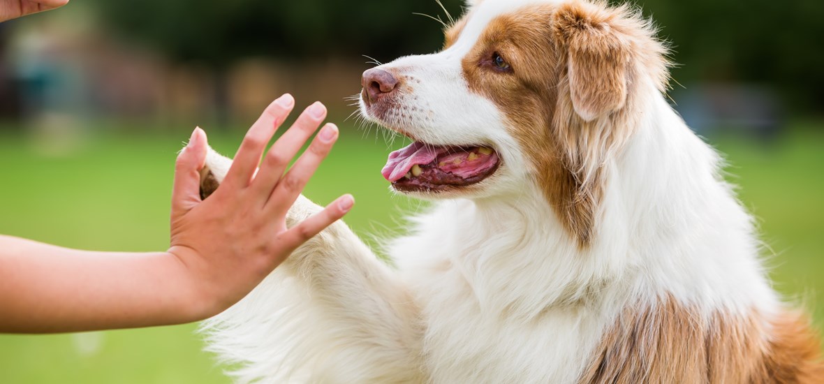 Perfect Fit™ brand imagery